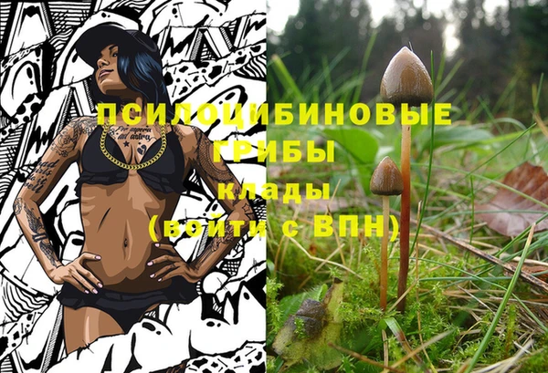 мяу мяу мука Аркадак