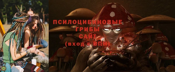 мяу мяу мука Аркадак